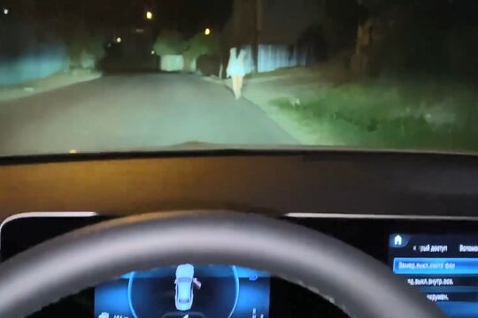 Незнакомка в белом платье отдалась чуваку в машине